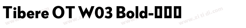 Tibere OT W03 Bold字体转换